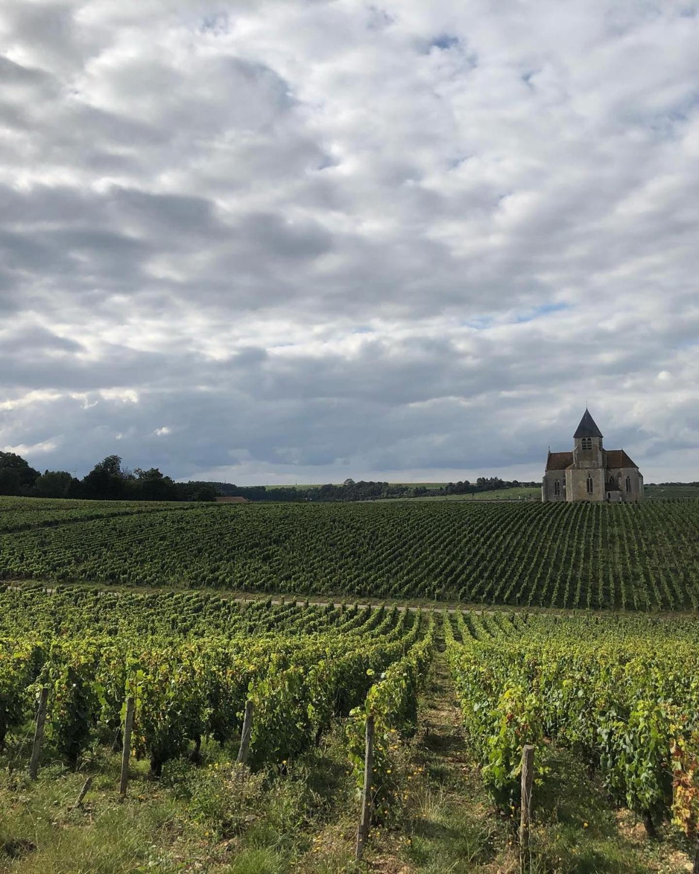 Maison De Pauline, Chablis Vineyard Préhy Rom bilde