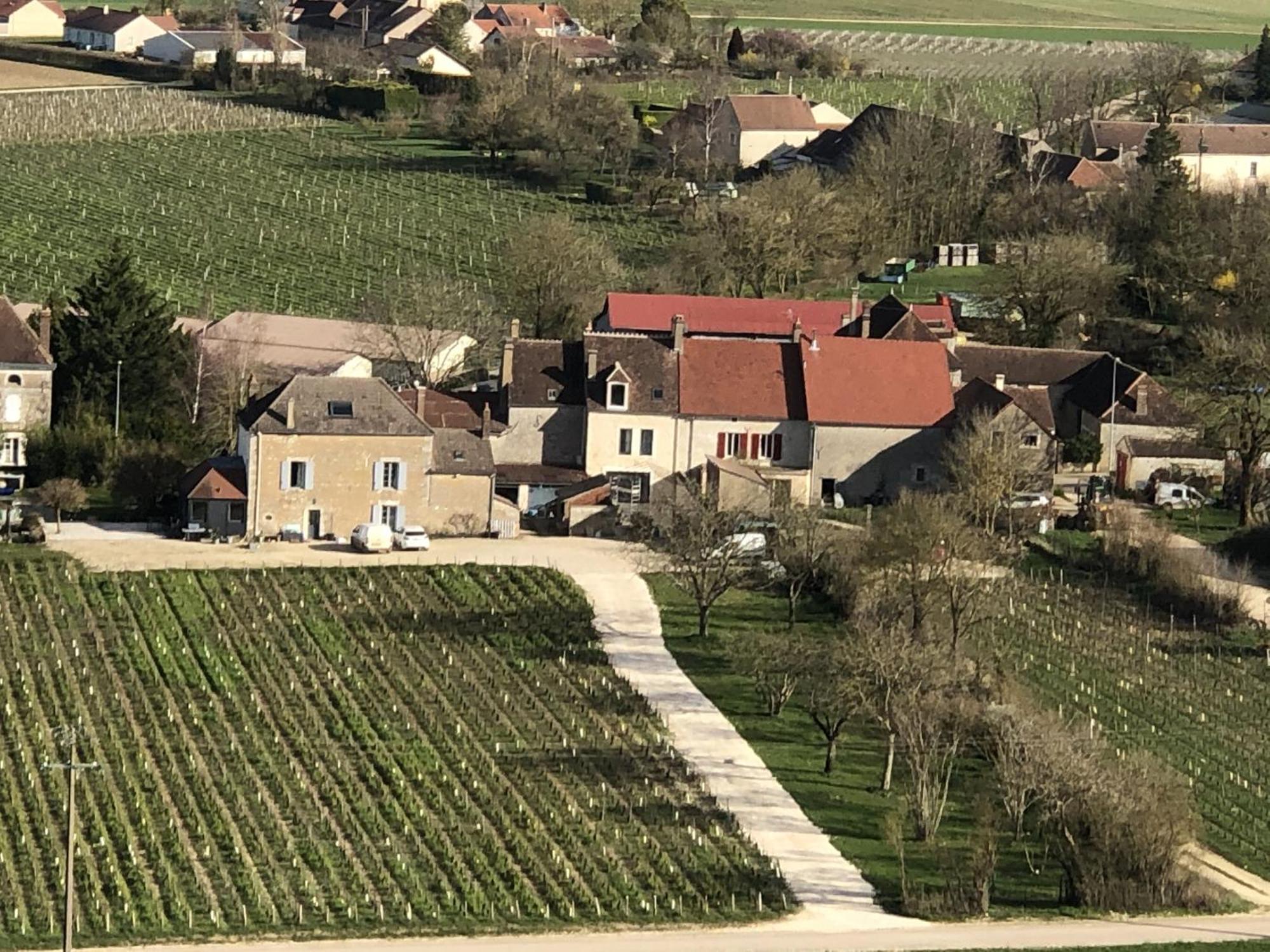 Maison De Pauline, Chablis Vineyard Préhy Eksteriør bilde